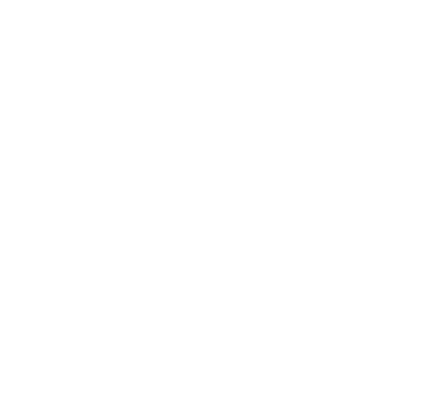 Molly Japenga • Graphic Designer • Web Designer • SEO Expert • Brand Designer • Copywriter